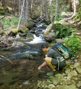 Bistrisa trail