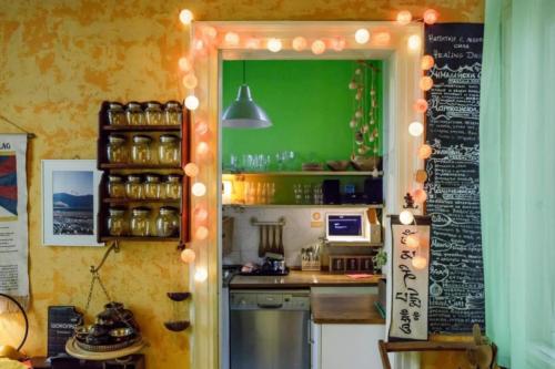The apartment- the kitchen